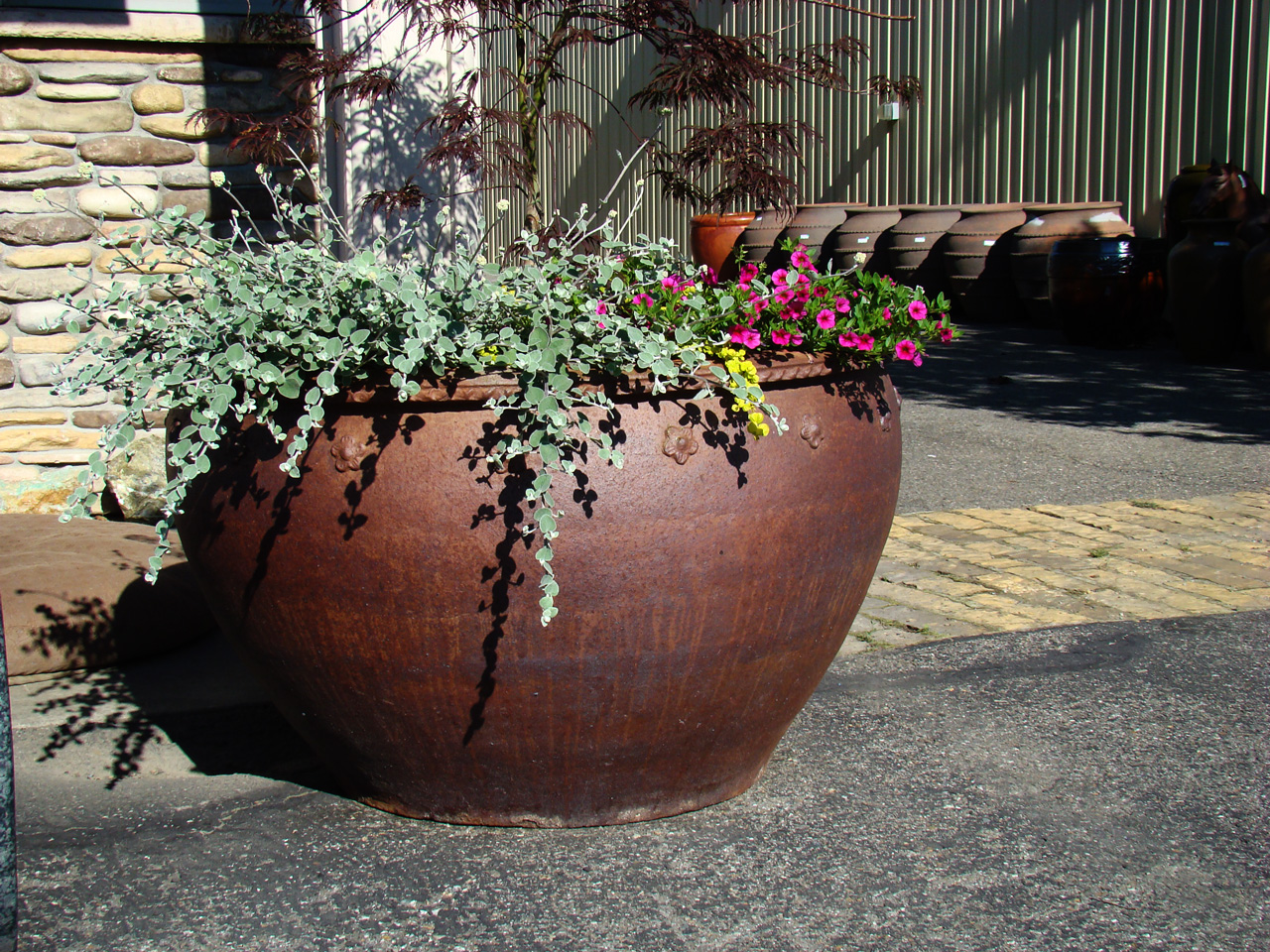 ceramic-pots-planters-for-landscaping---deezrocks