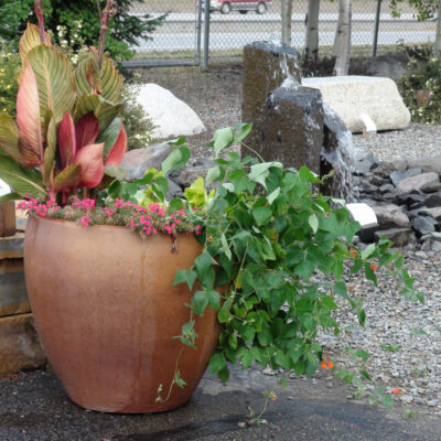 stone-pots-planter-for-yard---deezrocks